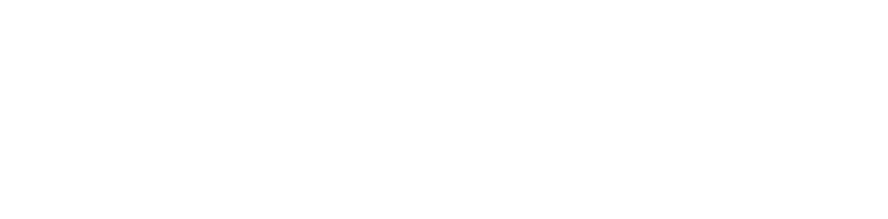 logo-V-white